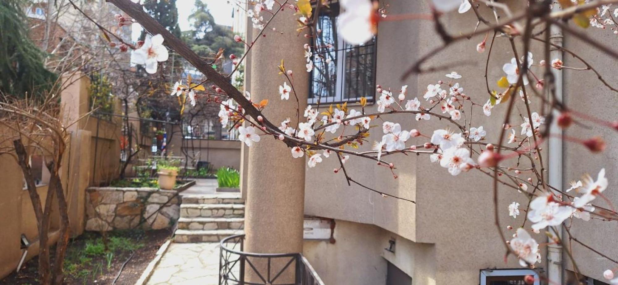 Iliani Hotel Tbilisi Exteriér fotografie